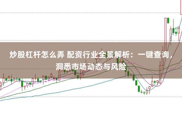 炒股杠杆怎么弄 配资行业全景解析：一键查询，洞悉市场动态与风险