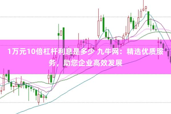 1万元10倍杠杆利息是多少 九牛网：精选优质服务，助您企业高效发展