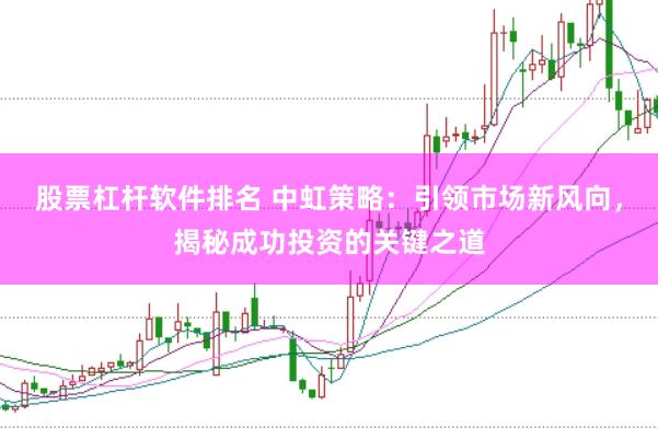 股票杠杆软件排名 中虹策略:引领市场新风向,揭秘成功投资的关键之道