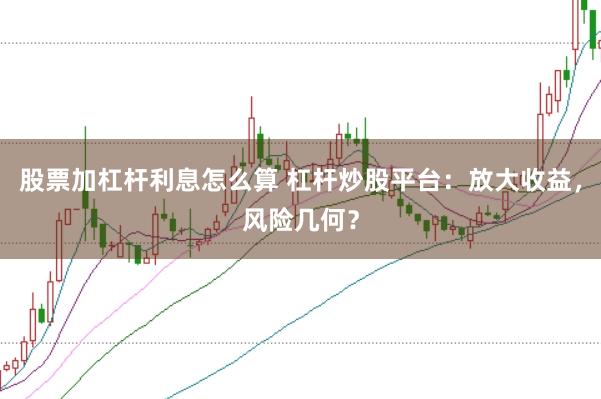股票加杠杆利息怎么算 杠杆炒股平台：放大收益，风险几何？