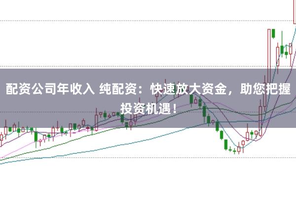 配资公司年收入 纯配资：快速放大资金，助您把握投资机遇！