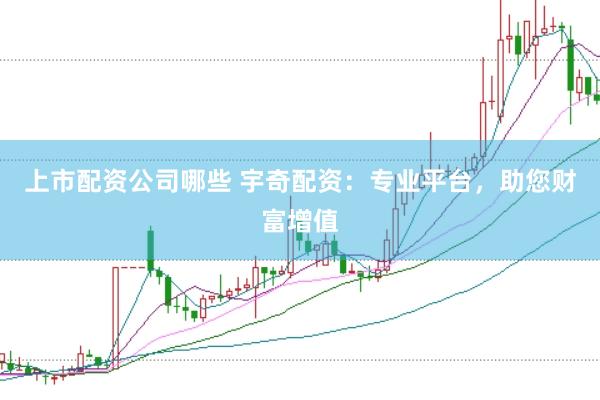 上市配资公司哪些 宇奇配资：专业平台，助您财富增值