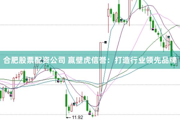 合肥股票配资公司 赢壁虎信誉：打造行业领先品牌