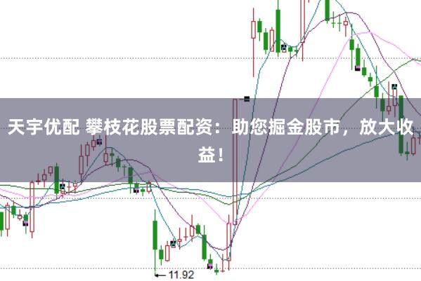 天宇优配 攀枝花股票配资：助您掘金股市，放大收益！