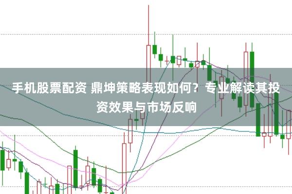 手机股票配资 鼎坤策略表现如何？专业解读其投资效果与市场反响