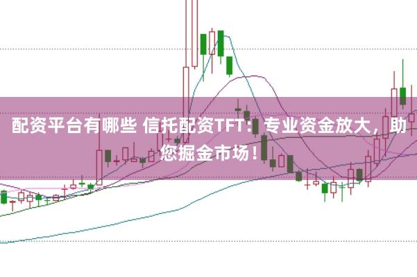 配资平台有哪些 信托配资TFT：专业资金放大，助您掘金市场！