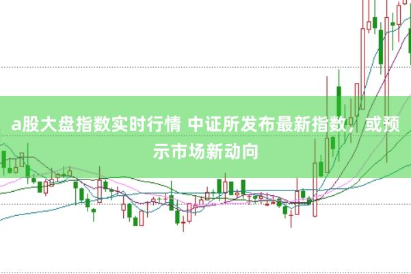 a股大盘指数实时行情 中证所发布最新指数，或预示市场新动向