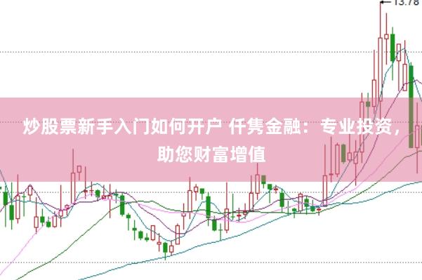 炒股票新手入门如何开户 仟隽金融：专业投资，助您财富增值