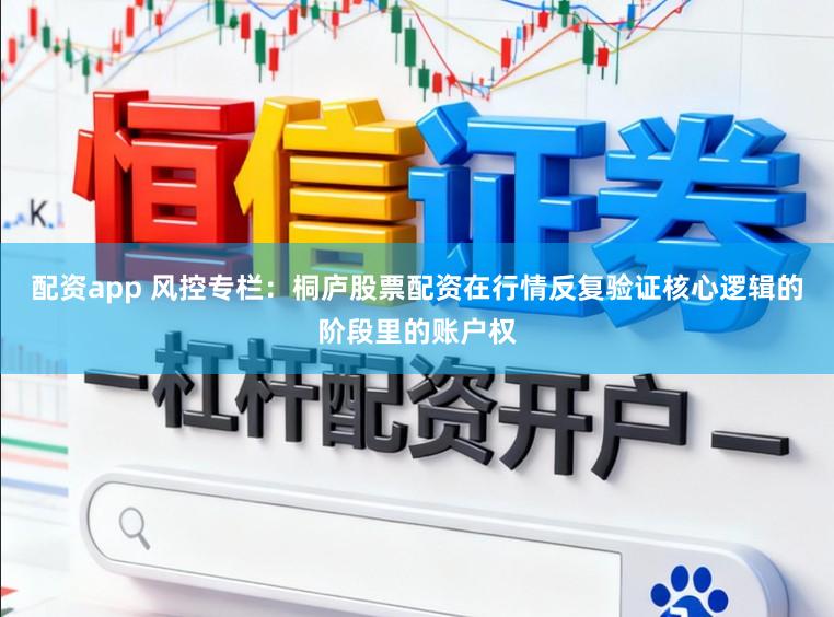配资app 风控专栏：桐庐股票配资在行情反复验证核心逻辑的阶段里的账户权
