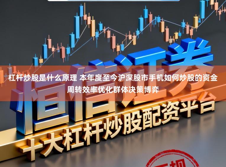 杠杆炒股是什么原理 本年度至今沪深股市手机如何炒股的资金周转效率优化群体决策博弈