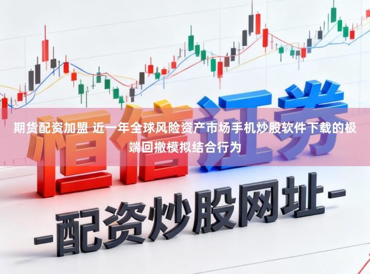 期货配资加盟 近一年全球风险资产市场手机炒股软件下载的极端回撤模拟结合行为