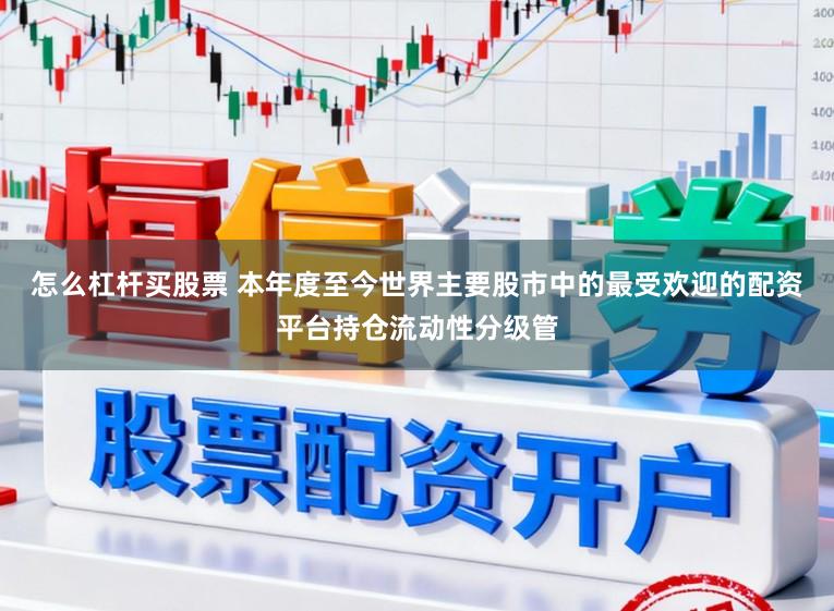 怎么杠杆买股票 本年度至今世界主要股市中的最受欢迎的配资平台持仓流动性分级管